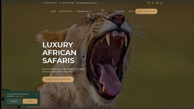 Endless Safaris